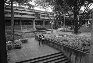 Faculdade de Direito - Campus Darcy Ribeiro